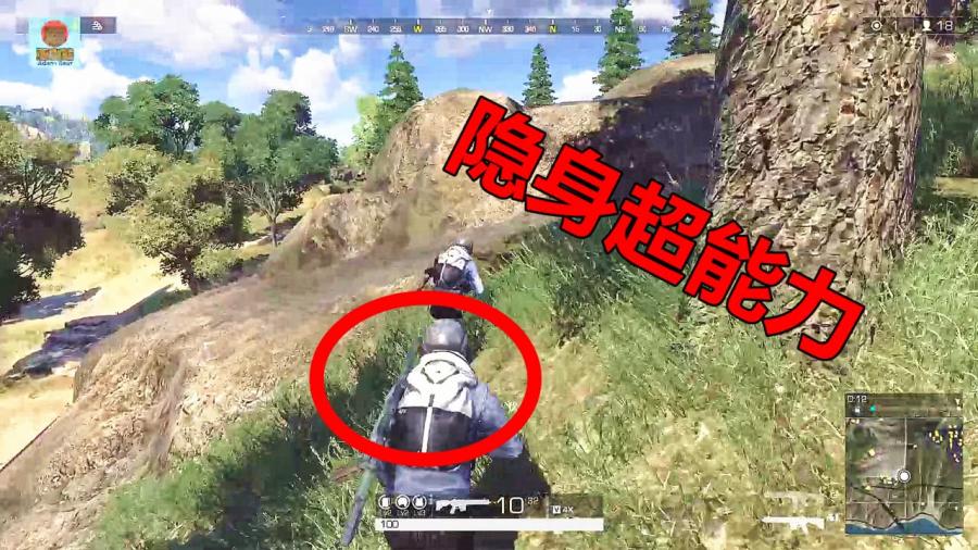 熊哥最新动态，潮流引领，魅力无限展现