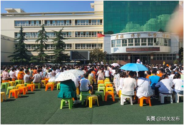 红领巾最新动态，友谊纽带与日常温馨的展现