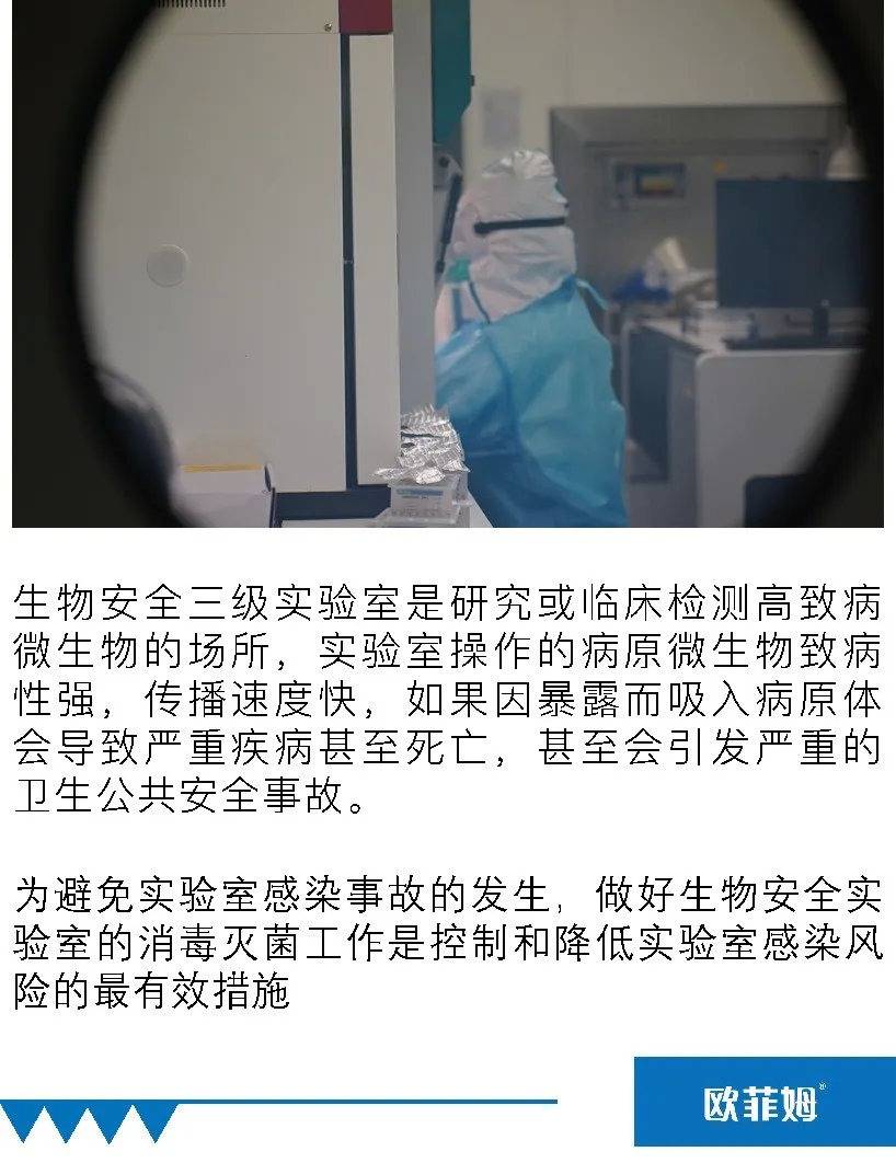 2024年香港开奖结果,安全性方案执行_梦想版77.602
