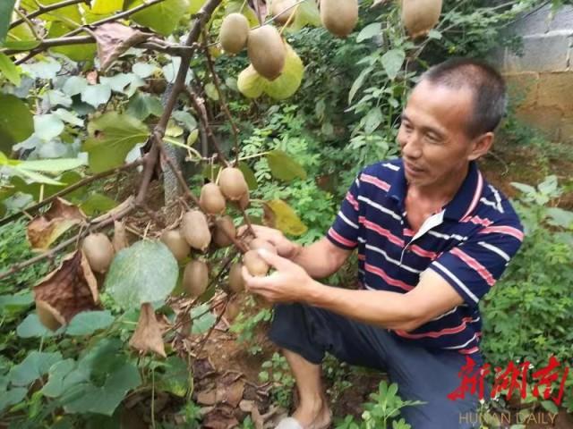 一级一片,数据整合决策_月光版16.452