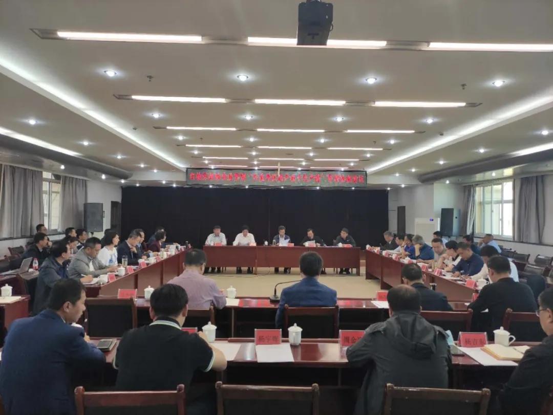 新澳今天晚上9点30分,实际调研解析_父母版22.433