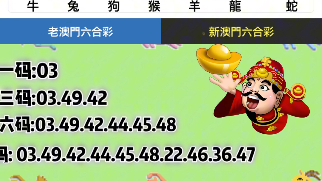 新澳门六2004开奖记录,实地研究解答协助_娱乐版22.911
