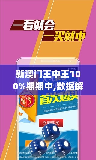 新澳门王中王100%期期中,决策支持方案_无限版22.564