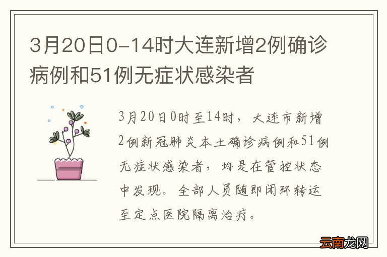 大连sk5病毒最新消息,行动规划执行_毛坯版23.232