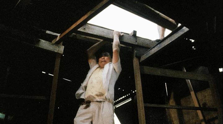 女子监狱风云最新更新免费阅读,动态解读分析_儿童版23.661