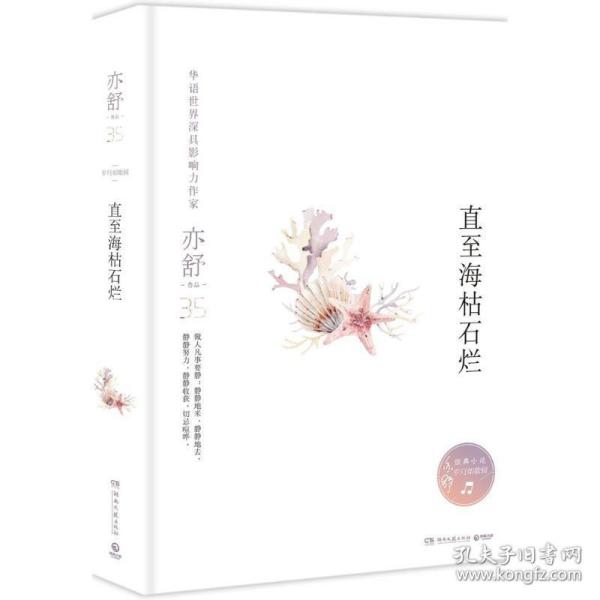 亦舒小说最新，小巷深处的文字秘境探索