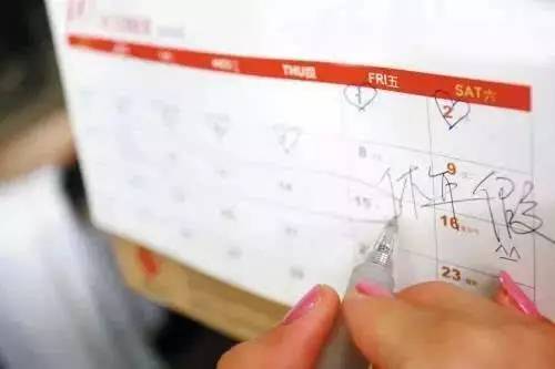 公休假最新规定天数，一段充满欢笑的温馨陪伴之旅