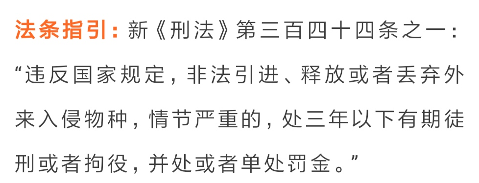 罪最新罪名详解，应对步骤指南与应对策略