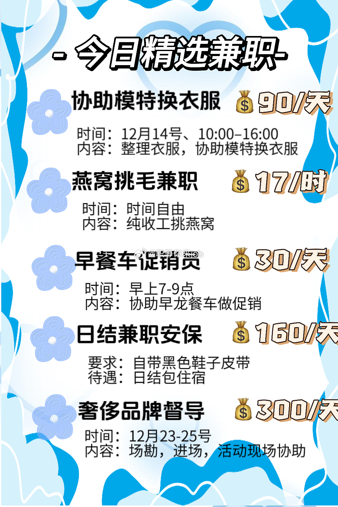 厦门兼职奇遇，小城里的友情纽带与职场探索