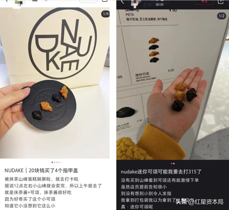 最新材料作文深度解析，小红书热议话题揭秘