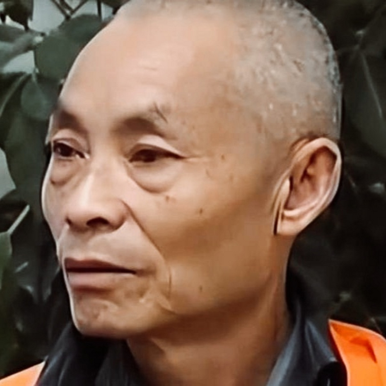 肖超福最新消息,肖超福最新消息及其相关观点论述