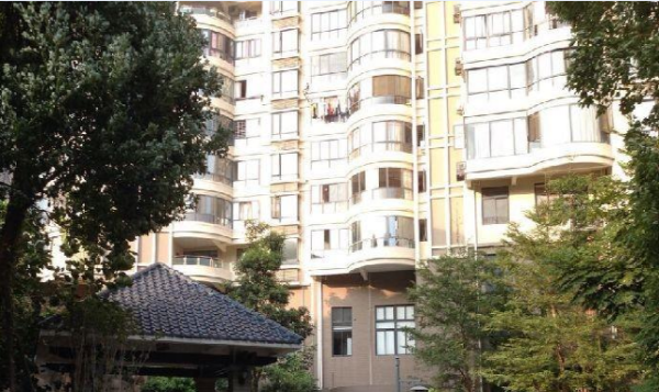 洪恩尚品，小巷隐藏宝藏掀起探索热潮，独特环境透露最新消息！