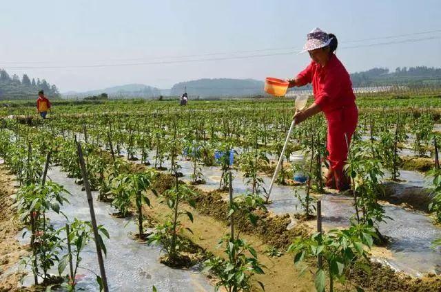 最新农村土地分配政策解读与探讨