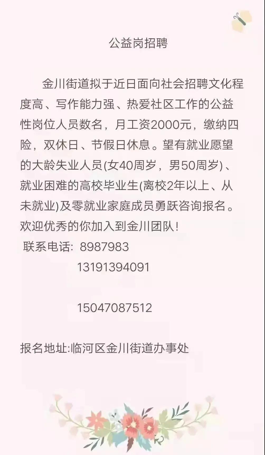巴彦淖尔临河最新招聘,巴彦淖尔临河最新招聘，深度探讨与观点阐述