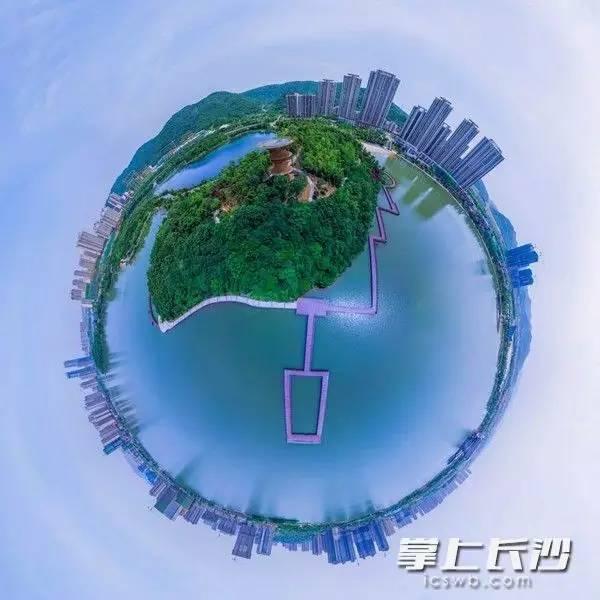 春暖花开最新论坛网址，一段温馨的友情之旅启程