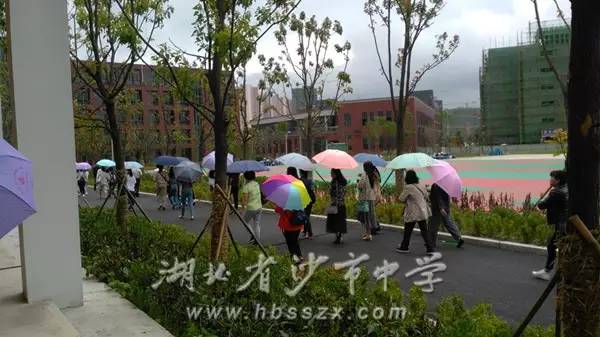 沙市中学搬迁最新动态，科技重塑校园，迈向未来！