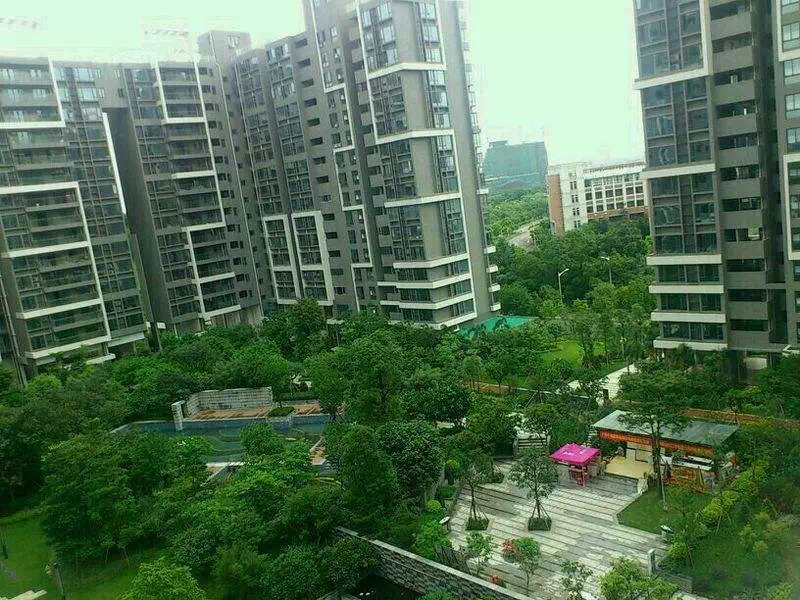 广州南沙保利城房价揭秘，家的故事与温馨家园梦