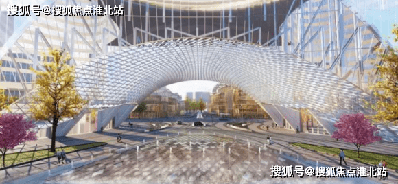 河北闫宁最新动态，社会关注的深度解析与个人立场观点