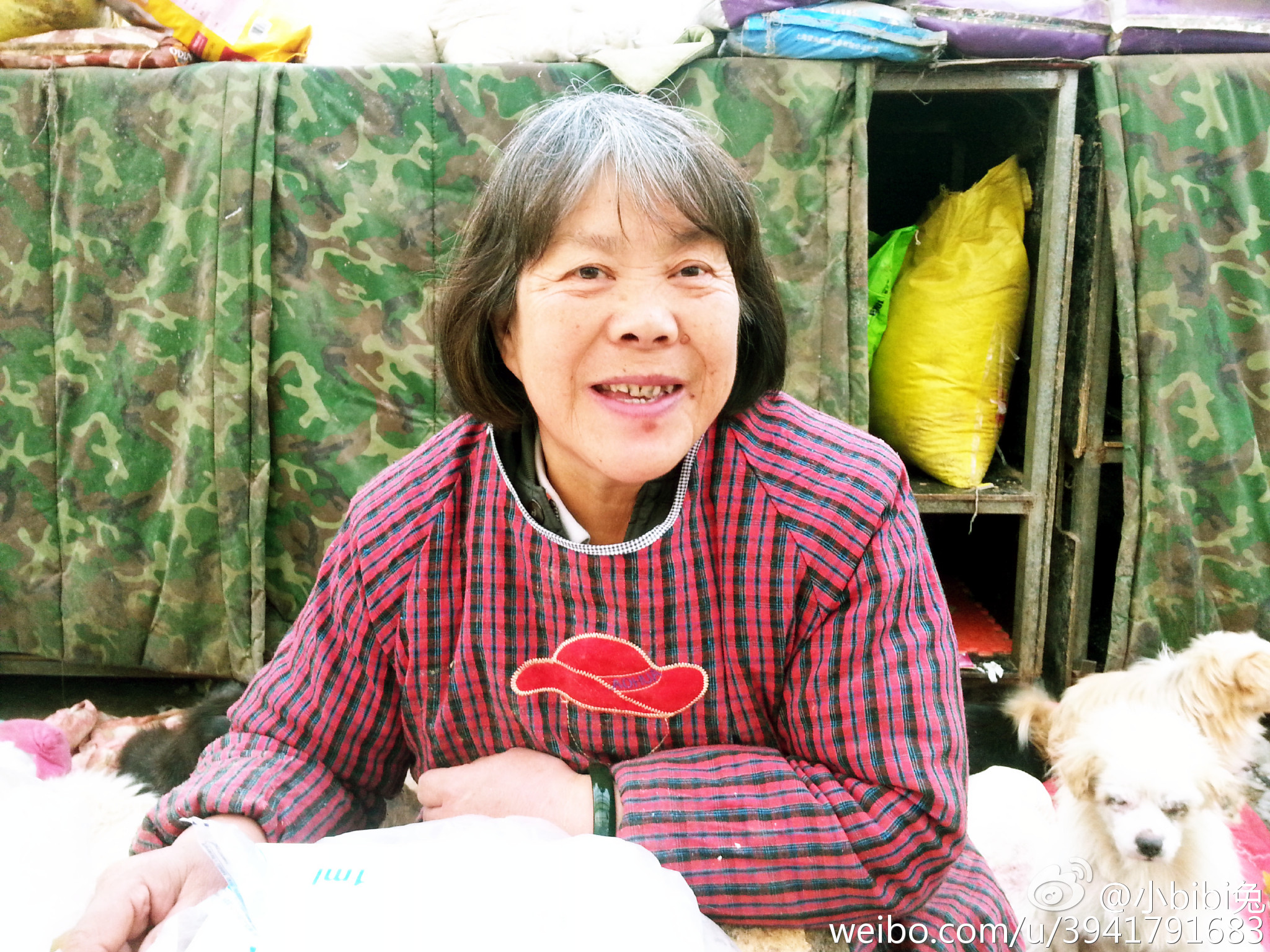 东阳活佛阿婆最新动态更新