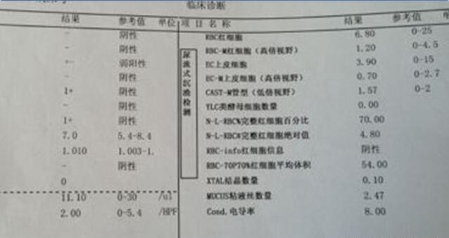 最新空腹血糖标准与内心宁静的探险之旅，自然美景中的心灵探索