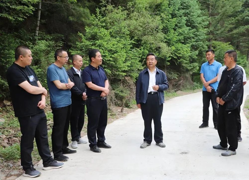 隆多最新动态，技能提升与任务完成指南