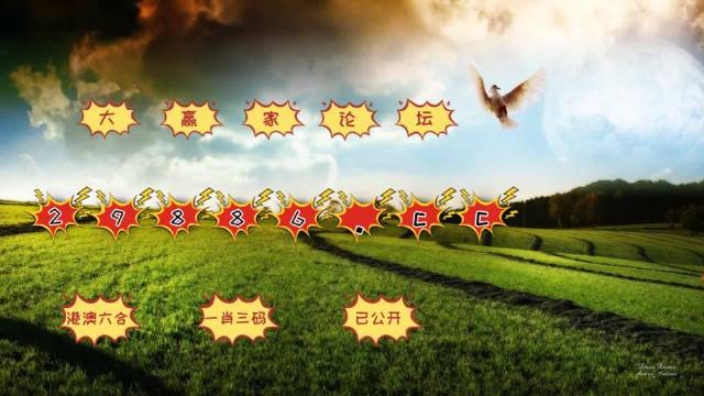 未分类 第5页