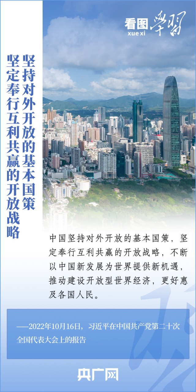上海最新命案，深度探讨与观点阐述