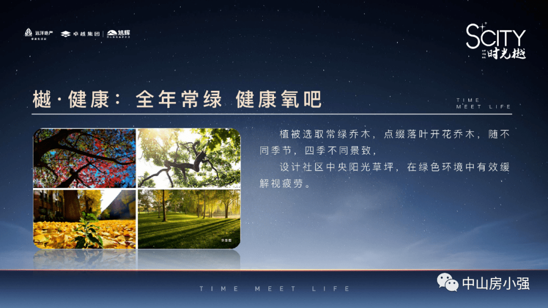 书法艺术中心 第65页