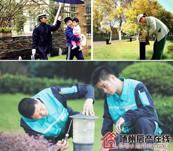 随州荣御中央最新动态及观点论述