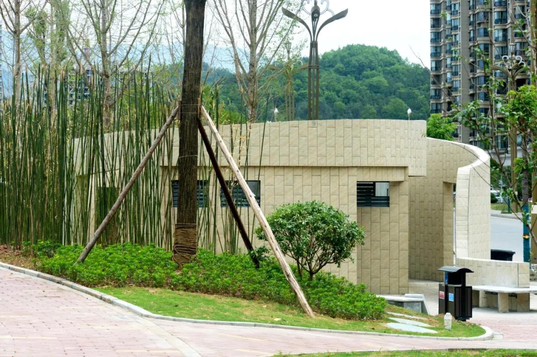 洛阳滨河南路最新动态与详细步骤指南