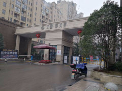 奉化艾盛春天里最新动态，学习拥抱变化，自信闪耀的未来展望