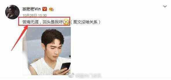 热巴与张彬彬最新动态曝光，热门话题揭秘与明星新闻聚焦