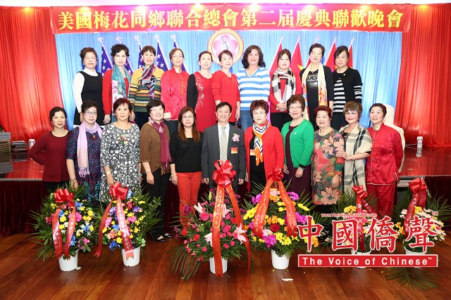 梅协总部最新消息视频，观看与了解步骤指南全解析