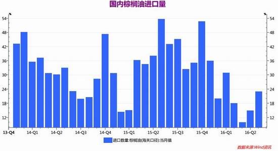 棕榈期货最新动态与市场走势分析