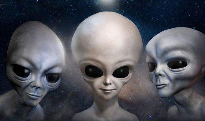 外星人最新动态更新，最新消息揭秘
