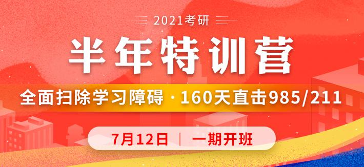 新澳2024天天正版资料大全,高效执行方案_极速版31.639