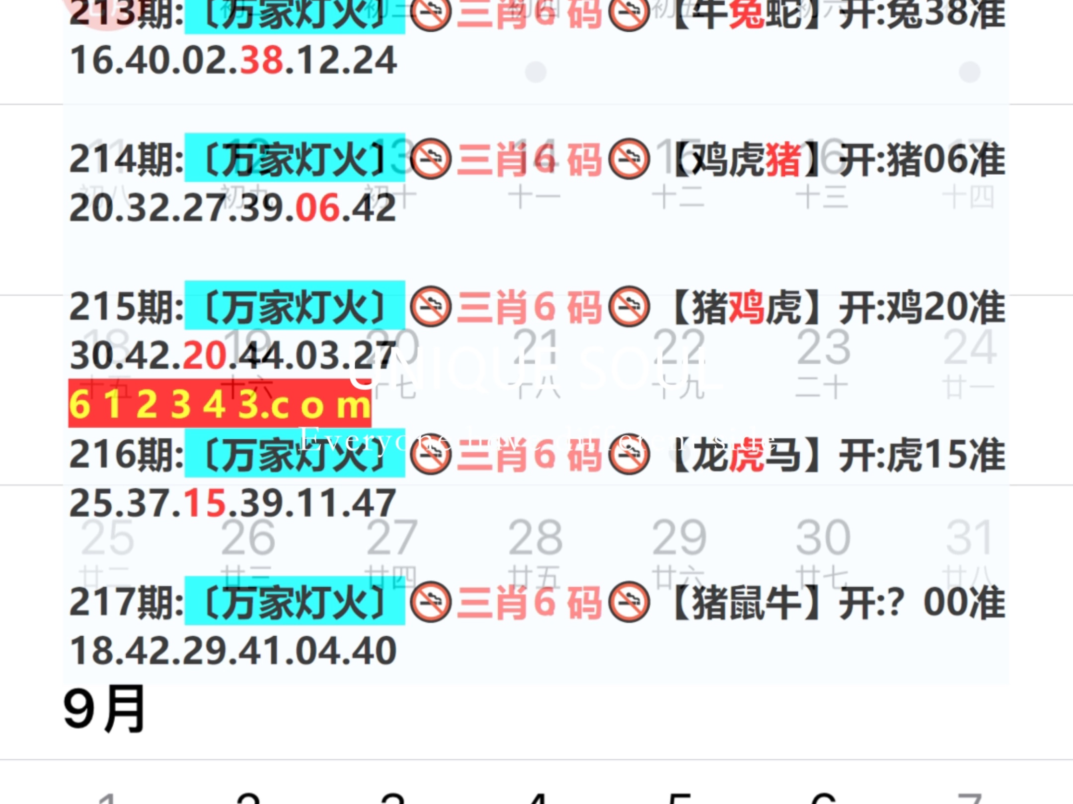 2024年新奥门天天开彩,科学解释分析_创新版16.378