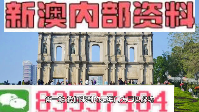 新澳免费资料精准大全,安全保障措施_随行版16.194