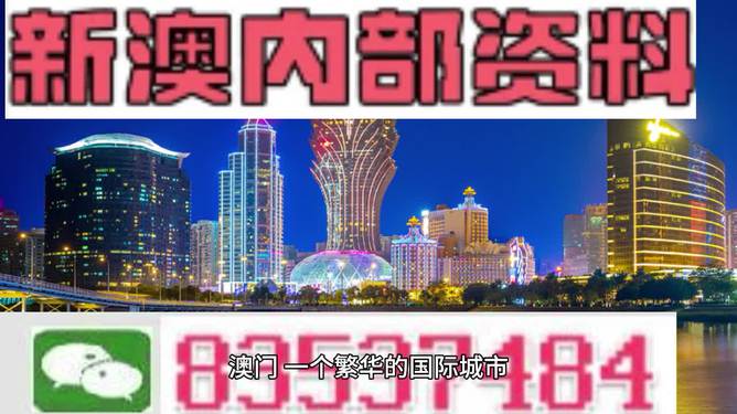 新澳门2024年正版免费公开,专业数据解释设想_多维版16.641