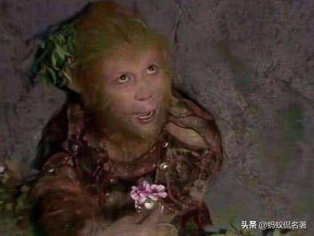 金星秀最新一期科技新品盛宴，让生活瞬间升级回顾！
