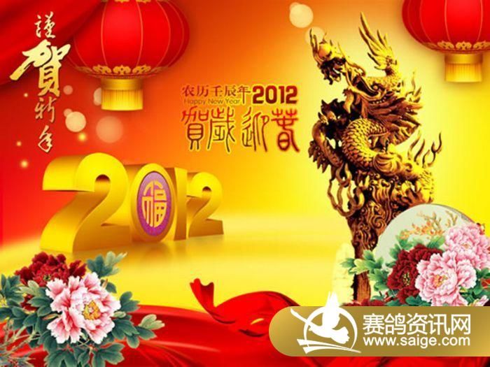 龙年辉煌历程及深远影响的追溯，龙年快乐最新回顾与展望